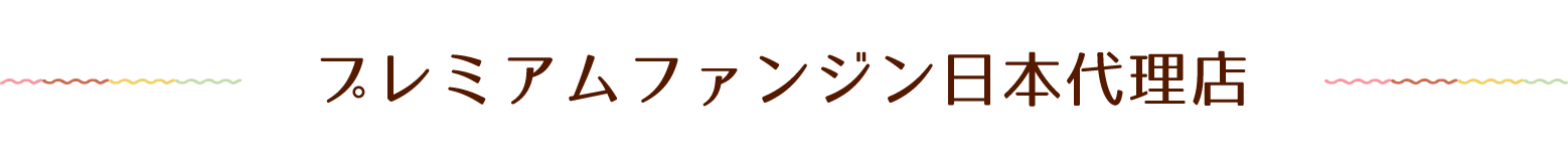 ファンジンジャパンとは | 【公式】株式会社ファンジンジャパン